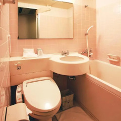 Asakusa Central Hotel 3* Стандартный номер с различными типами кроватей фото 4