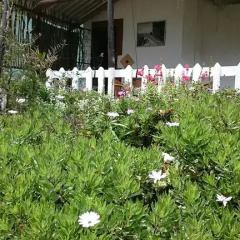 Отель Cottage C фото 21