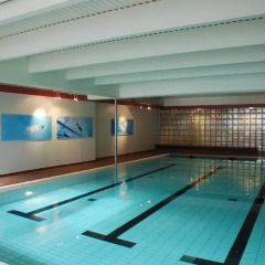 Hotel Alstor бассейн