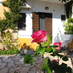 Отель Holiday Apartments Altini Албания, Ксамил - отзывы, цены и фото номеров - забронировать отель Holiday Apartments Altini онлайн фото 3