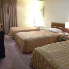 Shiba Park Hotel 151 4* Стандартный номер фото 2
