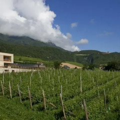 Отель Weingut Stuck Аппиано-сулла-Страда-дель-Вино фото 6