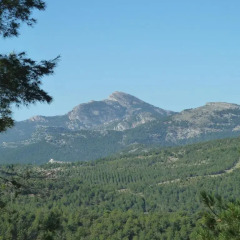 Отель Casas Rurales Peñagolosa фото 2