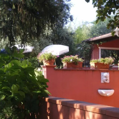 Отель Villa Ortensia Сарцана фото 6