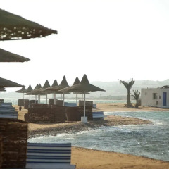 Отель Coral Beach Resort бассейн