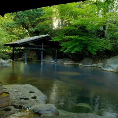 Отель Sanga Ryokan Минамиогуни приотельная территория
