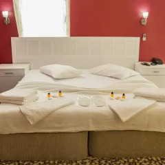 Tuzla Anı Hotel Турция, Стамбул - отзывы, цены и фото номеров - забронировать отель Tuzla Anı Hotel онлайн комната для гостей фото 2