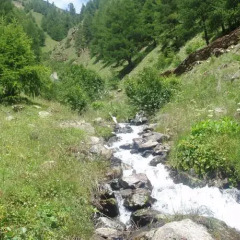 Отель Rieglhof Горнолыжный курорт Ортлер приотельная территория фото 2