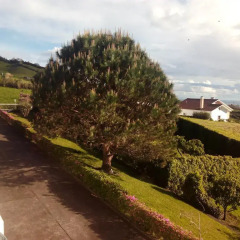 Отель Quinta do Quarteiro