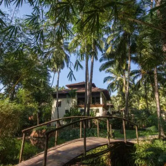 Отель Coconut Creek Гоа приотельная территория