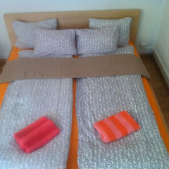 Апартаменты Garden Studio Apartment Zürichberg комната для гостей фото 5