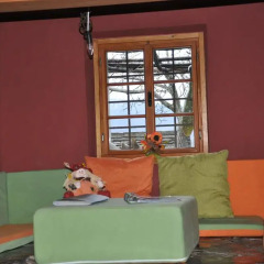 Pliskovica Youth Hostel с домашними животными