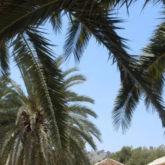 Отель Fonda Las Palmeras пляж фото 2