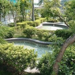 Отель White Cloud Hot Spring Farm Stay