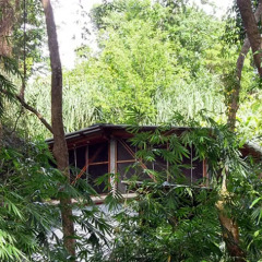 Отель Omega Tours Adventure Company & Eco Jungle Lodge 2* Бунгало с различными типами кроватей фото 2