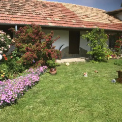 Отель House Gabri Болгария, Тырговиште - отзывы, цены и фото номеров - забронировать отель House Gabri онлайн