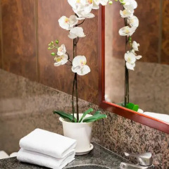 Hotel Madison 3* Стандартный номер с двуспальной кроватью фото 9