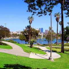 Отель Sheraton Grand Los Angeles США, Лос-Анджелес - отзывы, цены и фото номеров - забронировать отель Sheraton Grand Los Angeles онлайн фото 3