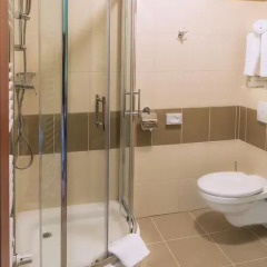 Hotel Brochów Стандартный номер фото 8