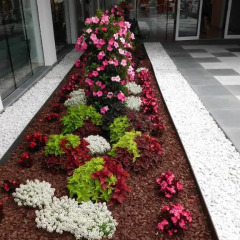 Hotel Millor Sun фото 6
