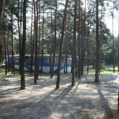 Гостиница Buymerivka Pine Spa-Resort Украина, Ахтырка - отзывы, цены и фото номеров - забронировать гостиницу Buymerivka Pine Spa-Resort онлайн парковка
