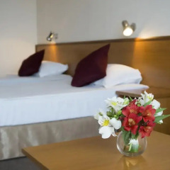 Отель Cook's Club Sunny Beach 4* Стандартный номер с различными типами кроватей