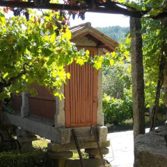 Отель Quinta das Aranhas Кастело-де-Пайва фото 13