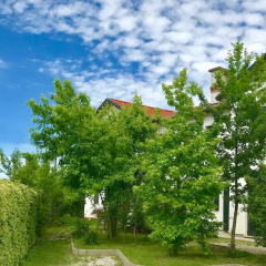 Отель Chez Alberto Италия, Мирано - отзывы, цены и фото номеров - забронировать отель Chez Alberto онлайн