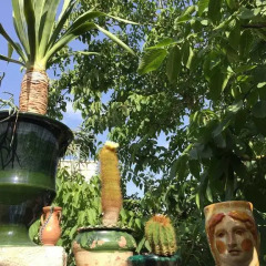 Отель Horto l'i King Италия, Лечче - отзывы, цены и фото номеров - забронировать отель Horto l'i King онлайн фото 5