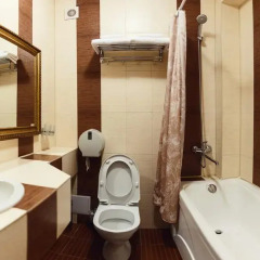 Гостиница Royal Центр 3* Стандартный номер с 2 отдельными кроватями фото 4