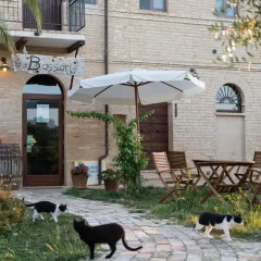 Отель Agriturismo Bassarì Италия, Реканати - отзывы, цены и фото номеров - забронировать отель Agriturismo Bassarì онлайн фото 17