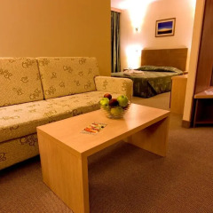 Отель Vitosha Park 4* Стандартный номер фото 4