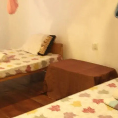 Отель Shoba Travellers Tree Home Stay комната для гостей фото 2