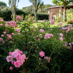 Отель B&B Cascina Le Rose Монцамбано
