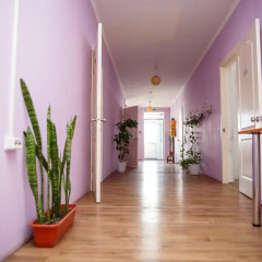 Mini-hotel Istok интерьер отеля фото 2