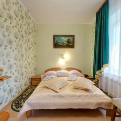 Гостиница Александрия 3* Номер Комфорт с разными типами кроватей фото 42