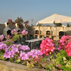 Отель Apartamentos El Palmeral Испания, Кониль-де-ла-Фронтера - отзывы, цены и фото номеров - забронировать отель Apartamentos El Palmeral онлайн фото 2