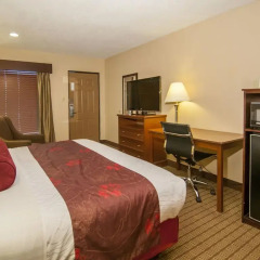 Отель Best Western Vicksburg Inn 2* Стандартный номер с различными типами кроватей фото 15