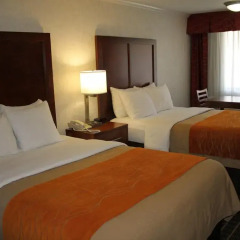 Отель Comfort Inn Near Old Town Pasadena комната для гостей фото 4