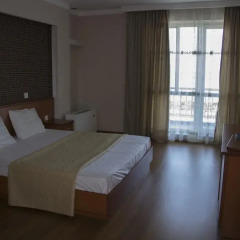 AF Hotel 4* Номер Делюкс с различными типами кроватей фото 3