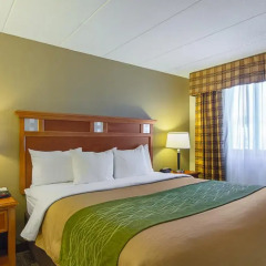 Отель Comfort Inn Washington Dulles International комната для гостей фото 4