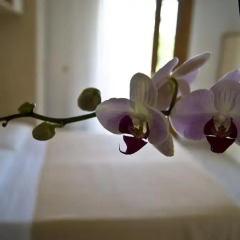 Hotel Arethusa Prestige спа