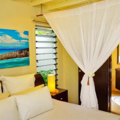 Отель Taveuni Palms Resort - All Inclusive Фиджи, Остров Тавеуни - отзывы, цены и фото номеров - забронировать отель Taveuni Palms Resort - All Inclusive онлайн детские мероприятия фото 2