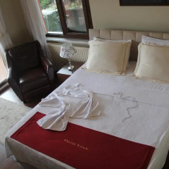Perili Köşk Concept Hotel Стандартный номер фото 31