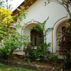 Отель The Tandem Guesthouse Шри-Ланка, Хиккадува - отзывы, цены и фото номеров - забронировать отель The Tandem Guesthouse онлайн фото 8