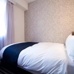 APA Hotel Osaka-Tanimachi 3* Стандартный номер с двуспальной кроватью фото 10