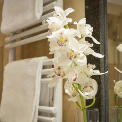 Villa Tuscolana Park Hotel 4* Стандартный номер с различными типами кроватей фото 4