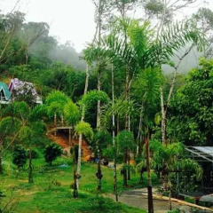 Отель Phuphasrirung Resort
