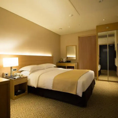 The Summit Hotel Seoul Dongdaemun 3* Стандартный номер с двуспальной кроватью фото 5