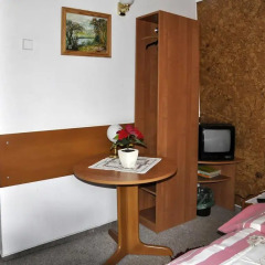 Hotel Daria Dworek Myśliwski 2* Стандартный номер с различными типами кроватей